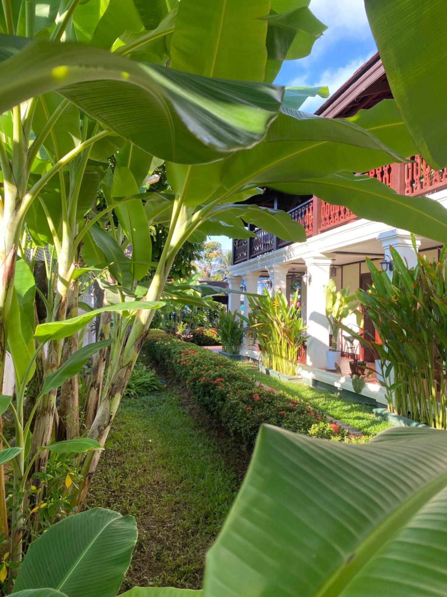 Luang Prabang Residence & Travel Exteriér fotografie