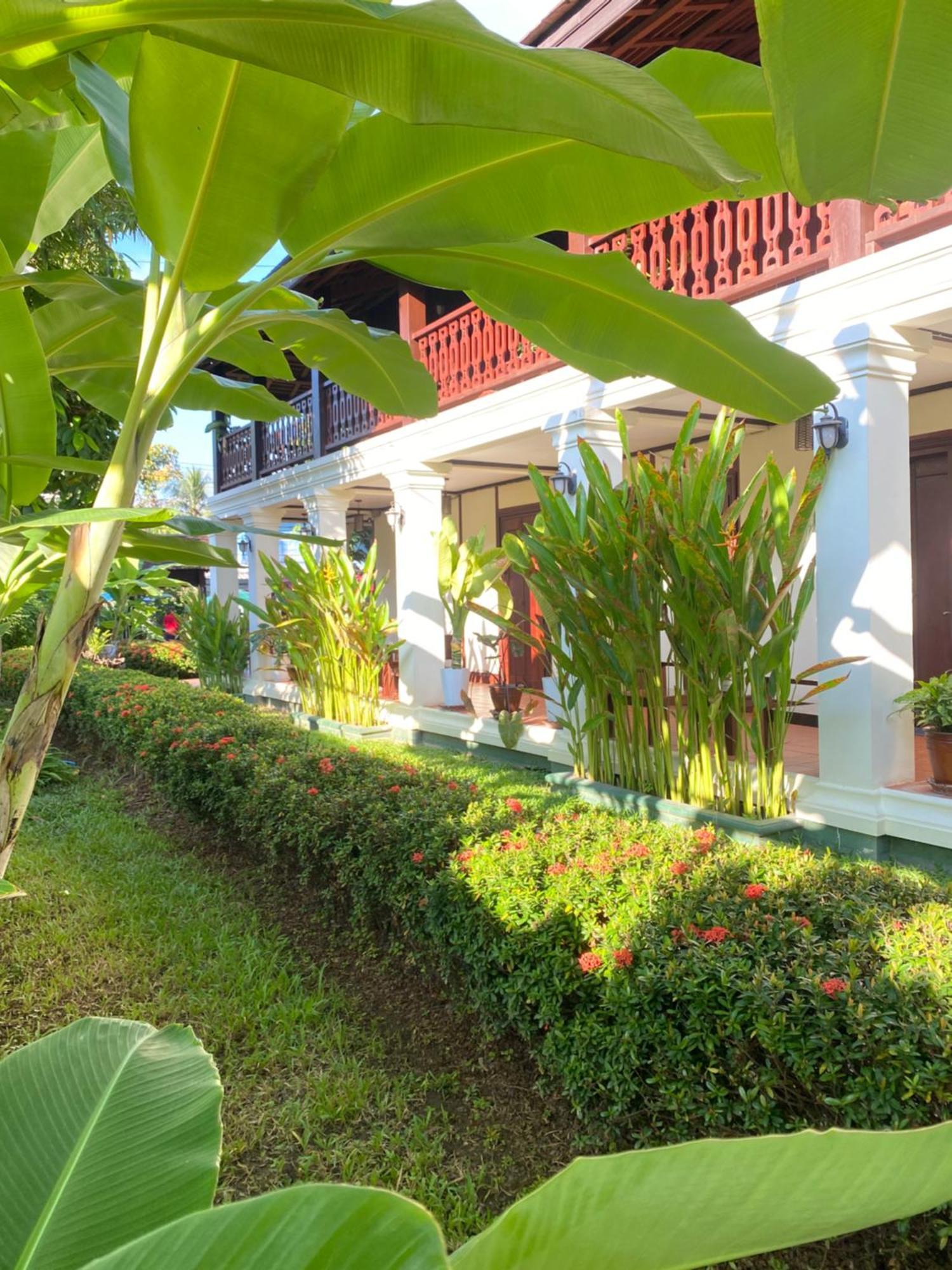 Luang Prabang Residence & Travel Exteriér fotografie