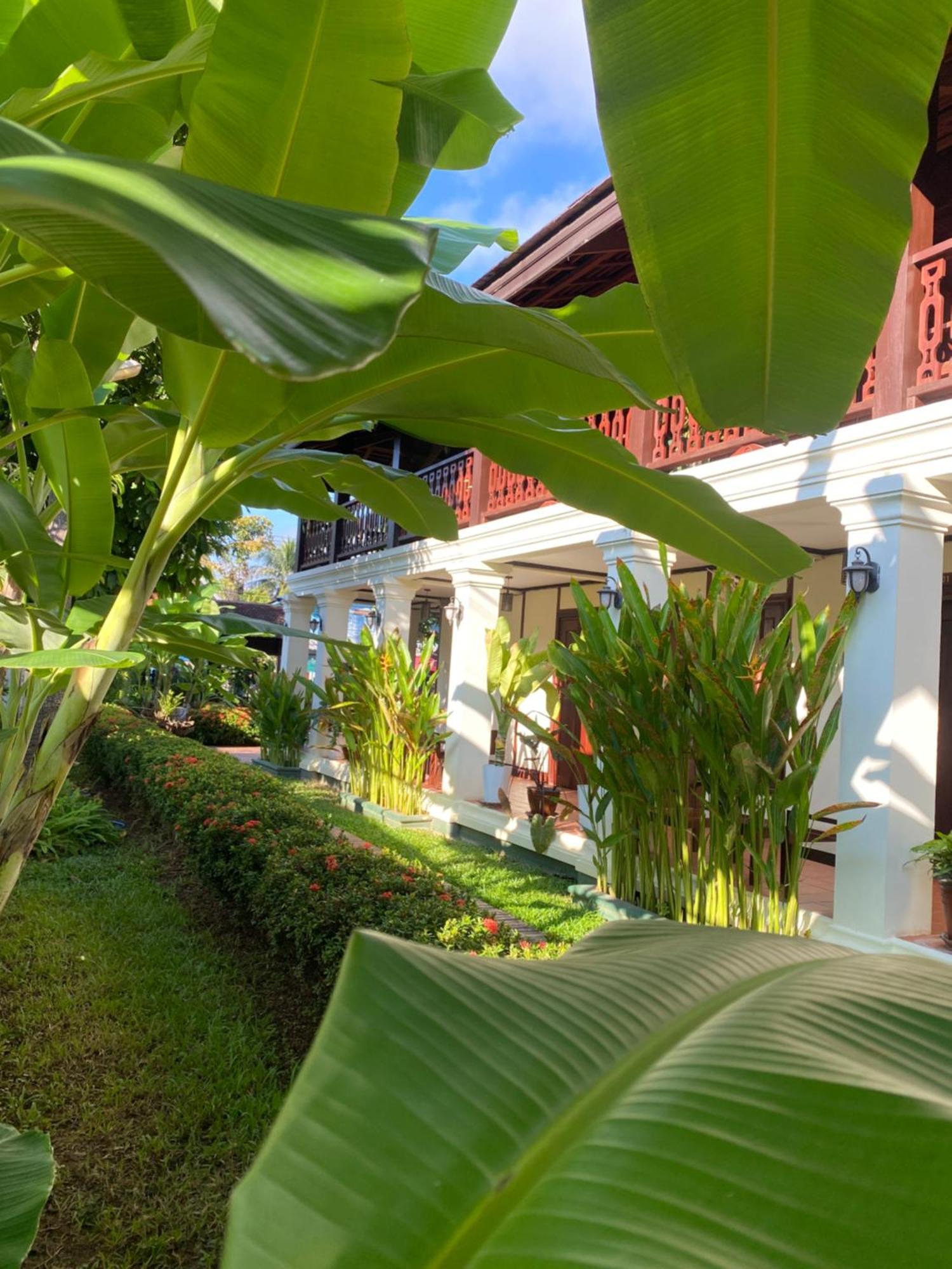 Luang Prabang Residence & Travel Exteriér fotografie